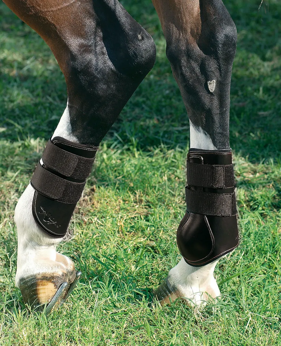 Knee High Boots Cone Heel entityTypeHigh Boots