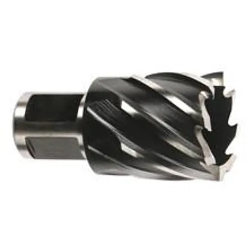 Milwaukee 49-59-1000 1 in. x 1 in. Annular Cutter