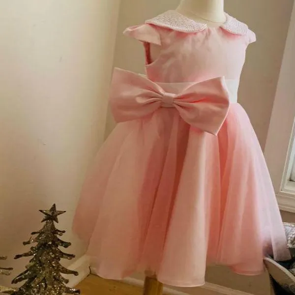 Priority Shipping Mini Princess Pearl And Blush Rose Dress