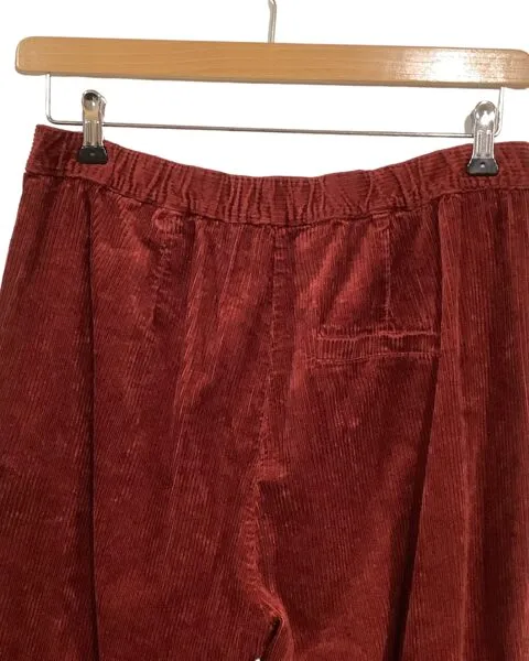 Transit Pants